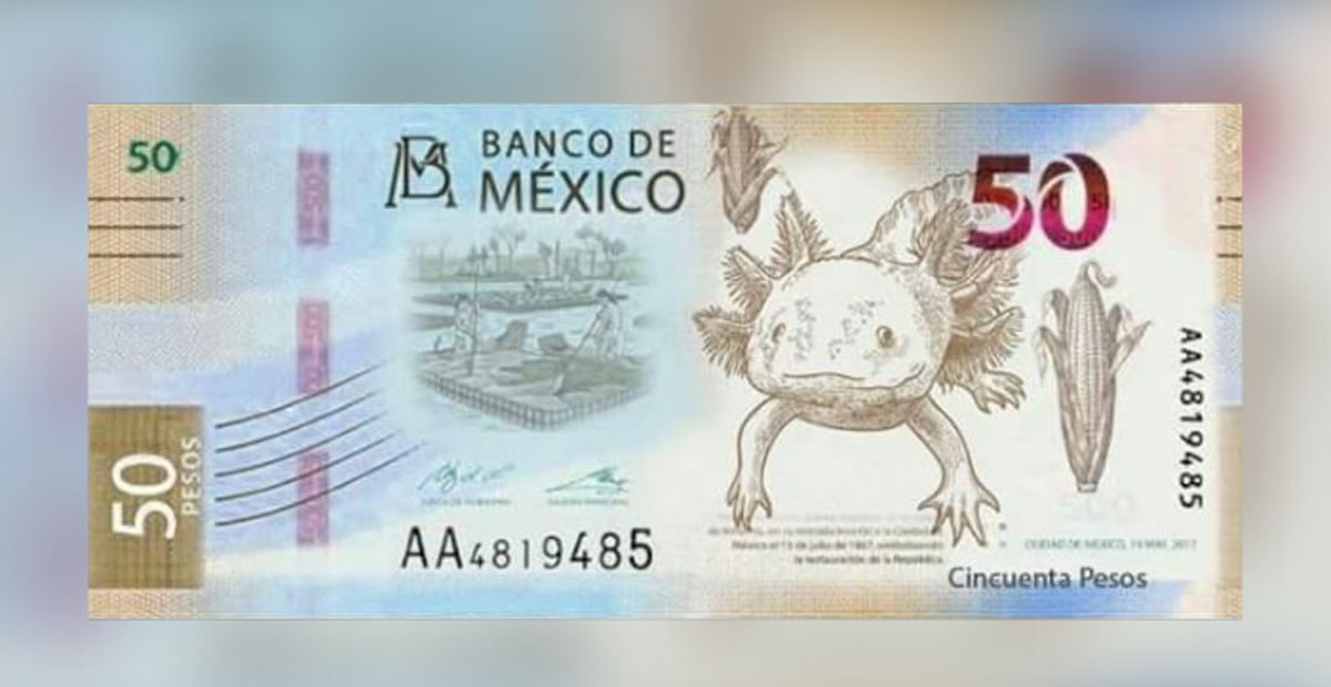 Presentan Banxico Nuevo Billete De 50 Pesos EnBreve Noticias