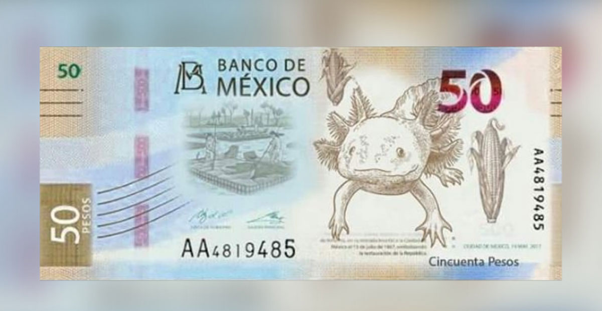 Presentan Banxico Nuevo Billete De 50 Pesos Enbreve Noticias