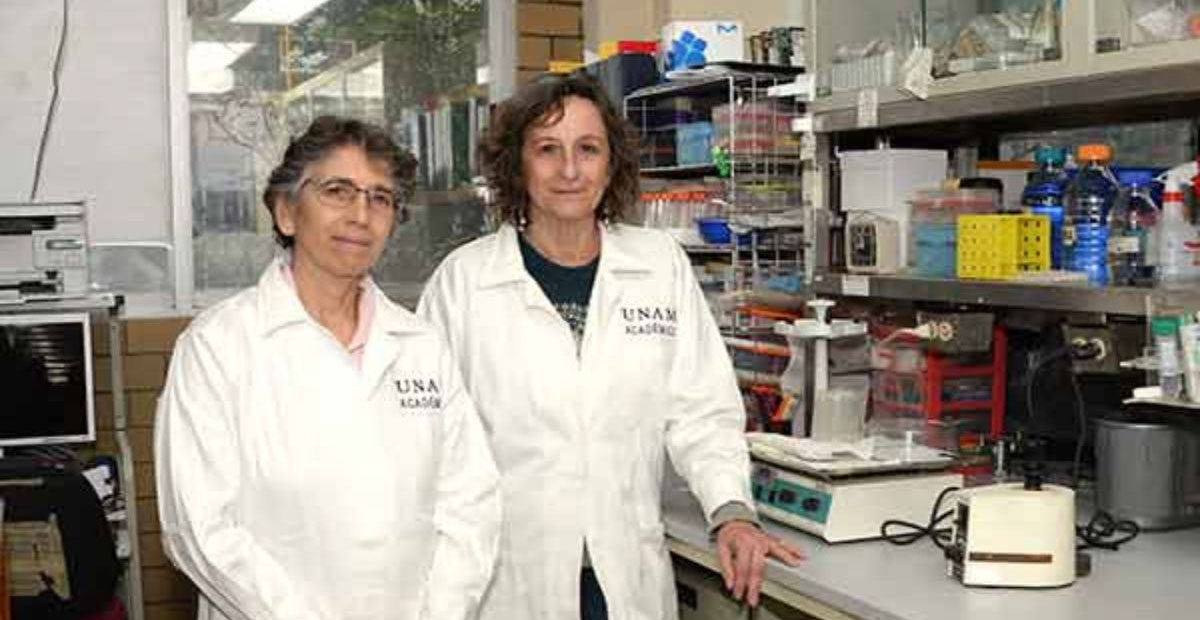 Científicas de la UNAM desarrollan molécula prometedora contra el cáncer de mama