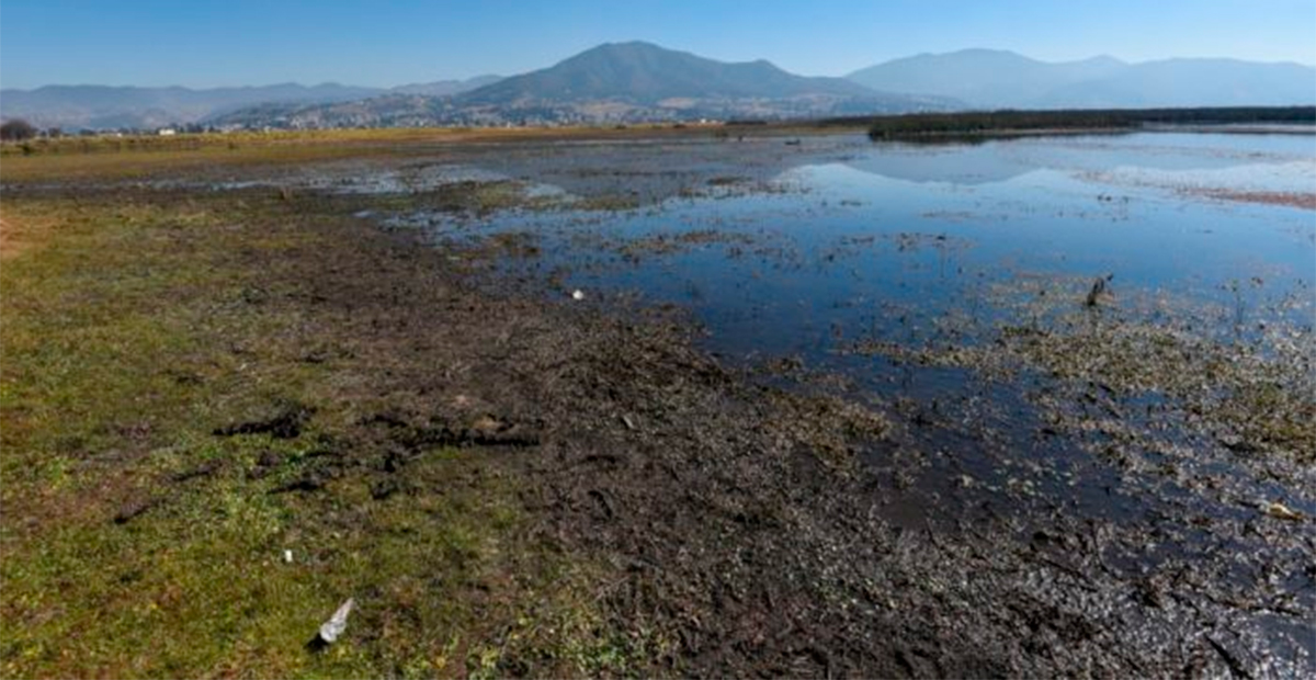 Consultor internacional advierte que la gestión del agua debe ser prioridad en México ante la crisis hídrica