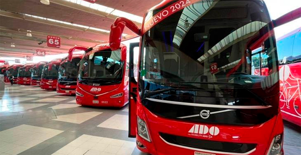Grupo Mobility ADO facilita el transporte hacia la Cumbre Tajín 2024 desde Papantla y Poza Rica.