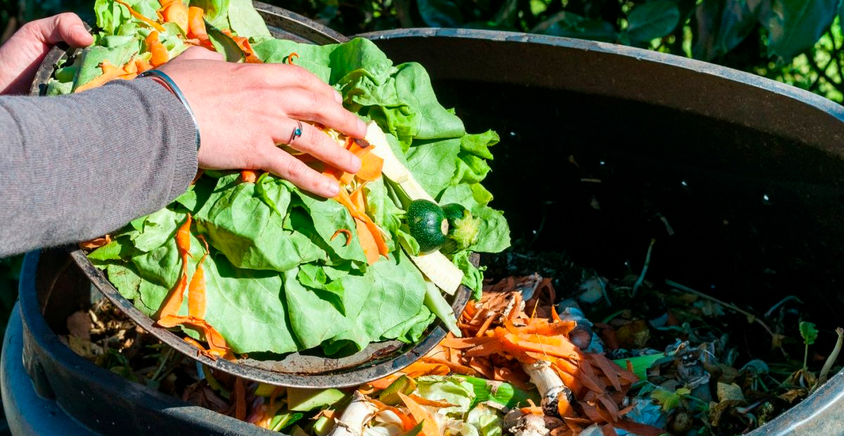 Informe de la ONU revela que el mundo desperdició un 19% de los alimentos producidos en 2022