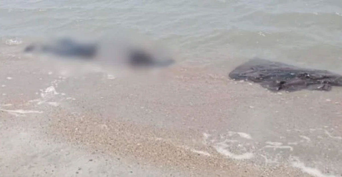 Hallan ocho cuerpos sin vida en Playa Vicente, Oaxaca: podrían ser migrantes asiáticos