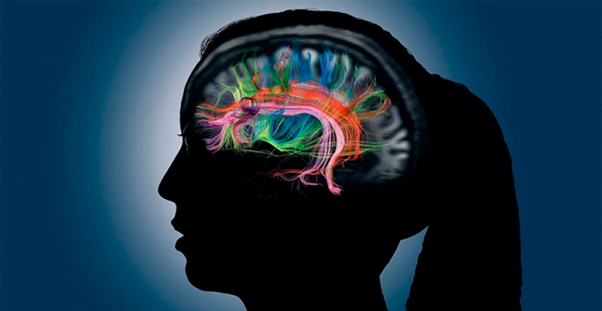 Científicos observan a nivel atómico «compuerta» esencial para el aprendizaje y la memoria