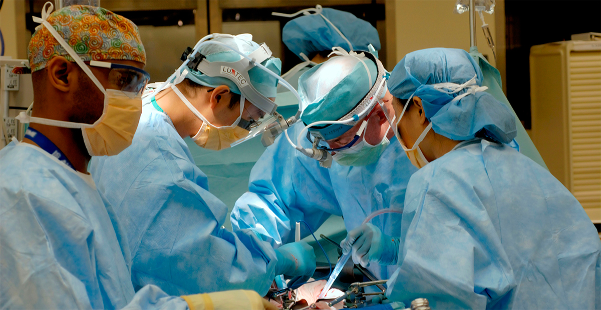 Mujer de Nueva Jersey se convierte en la segunda persona en recibir un trasplante de riñón de cerdo genéticamente modificado
