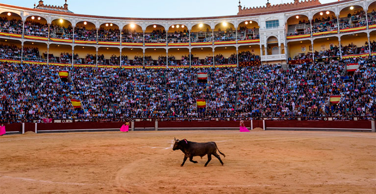 Tribunal ordena a Sader vigilar y sancionar espectáculos taurinos por violaciones sanitarias