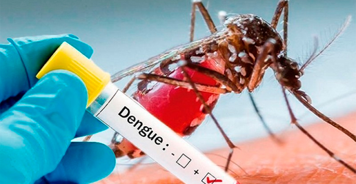 México registra más de 22 mil casos de dengue y 49 muertes: Secretaría de Salud llama a la Prevención
