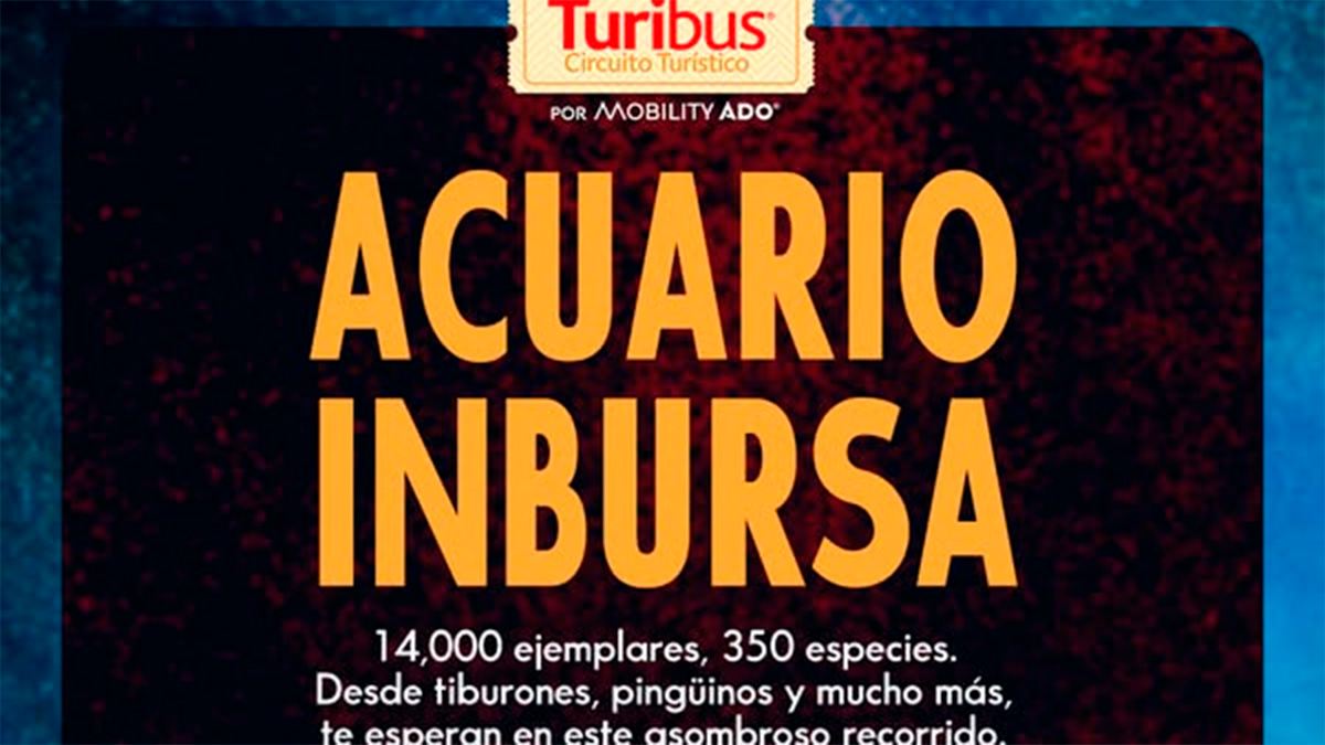 Diversión segura para todos: visita el Acuario Inbursa con Turibus