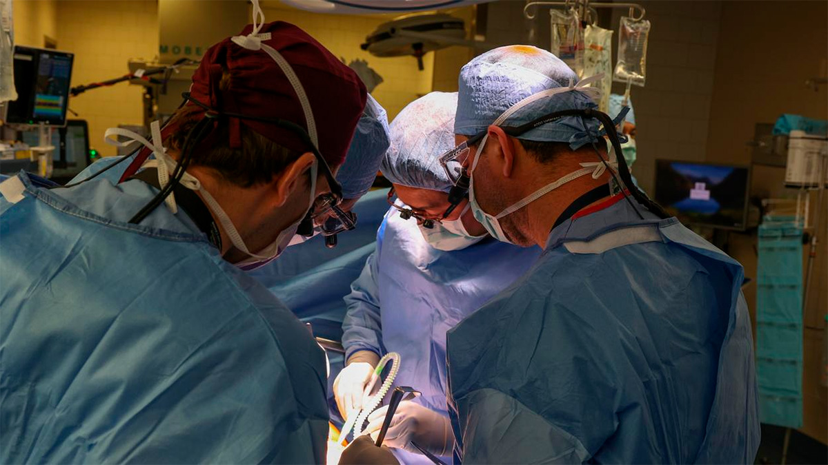 Histórico trasplante de riñón de cerdo en China abre una nueva era en la medicina