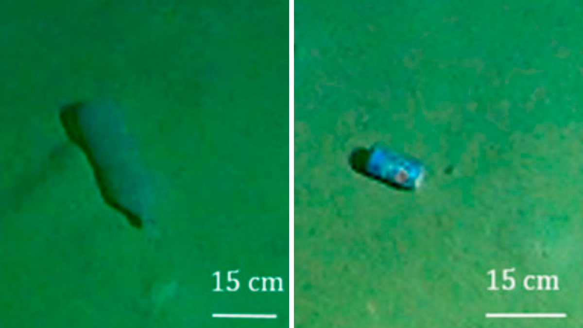 Descubren basura humana en el punto más profundo del Mediterráneo