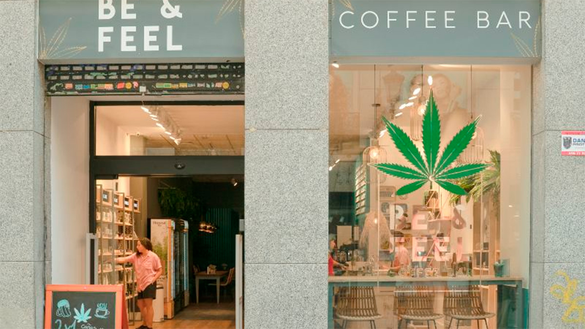 Países Bajos inician plan piloto para regular cultivo y venta de cannabis