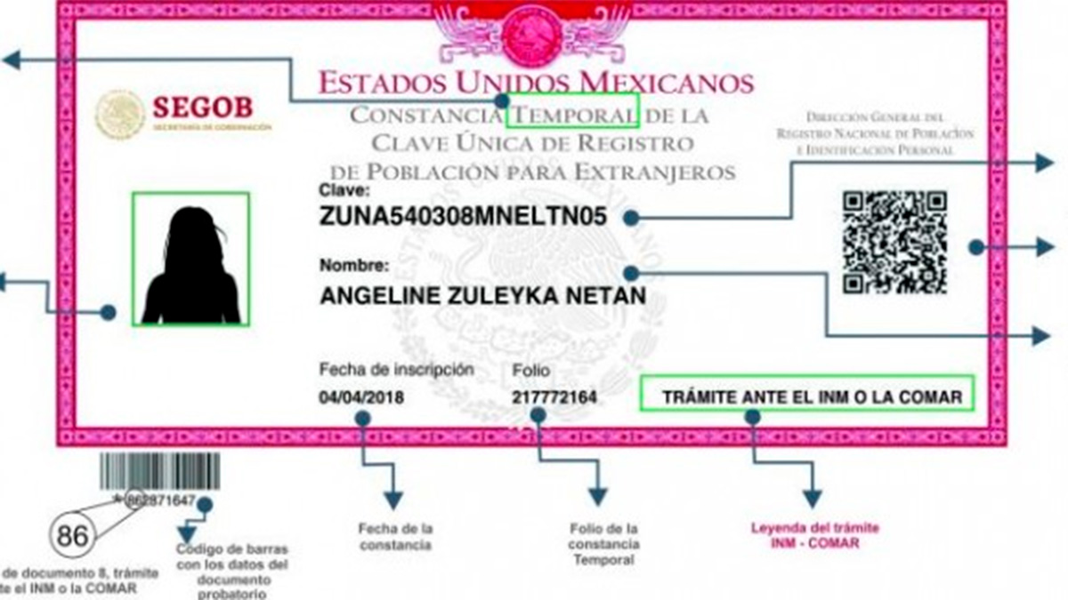 Advierte INE posibles riesgos a padrón electoral por reforma presidencial sobre CURP biométrica