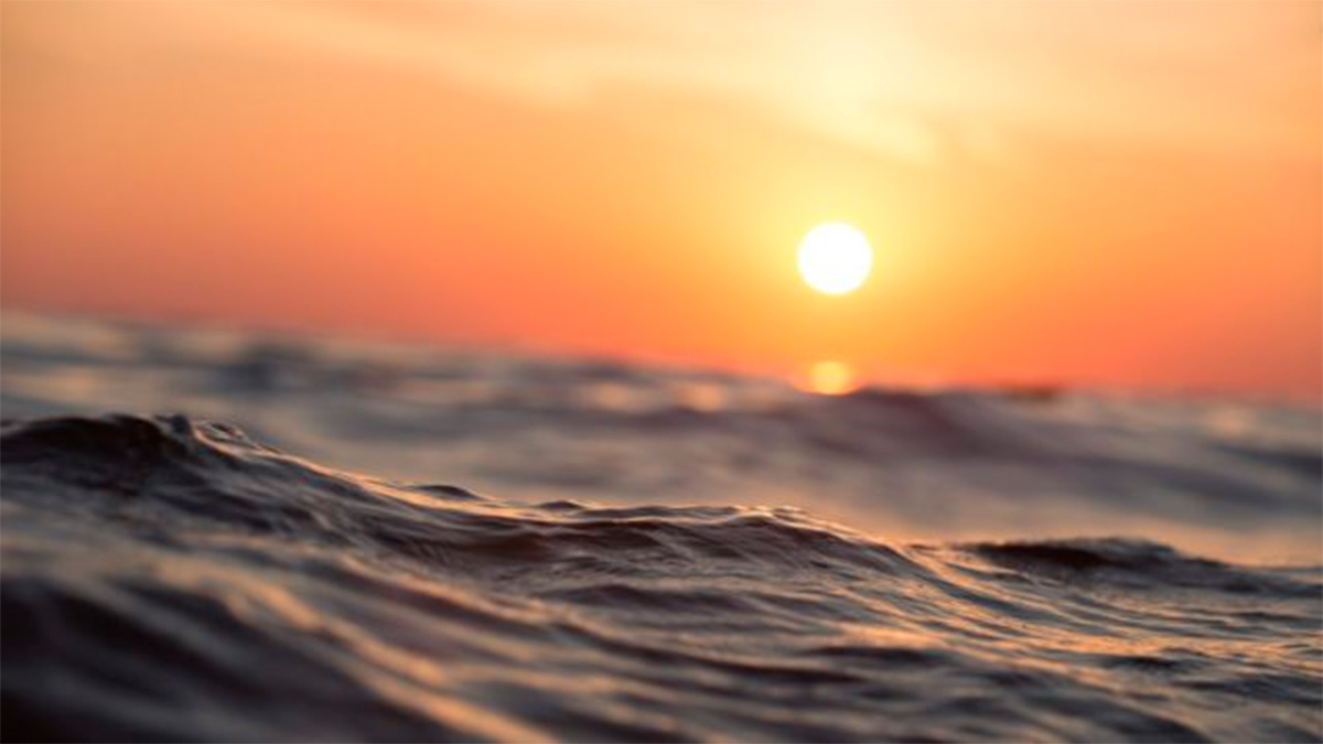 Aumentan olas de calor marinas: se triplican desde 1940 por efecto del cambio climático