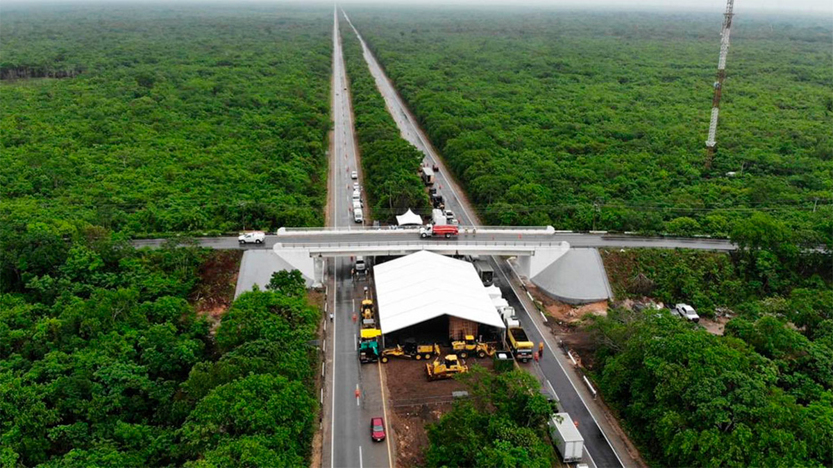 Gobierno reconoce daño ambiental por Tren Maya en el tramo Playa del Carmen–Tulum