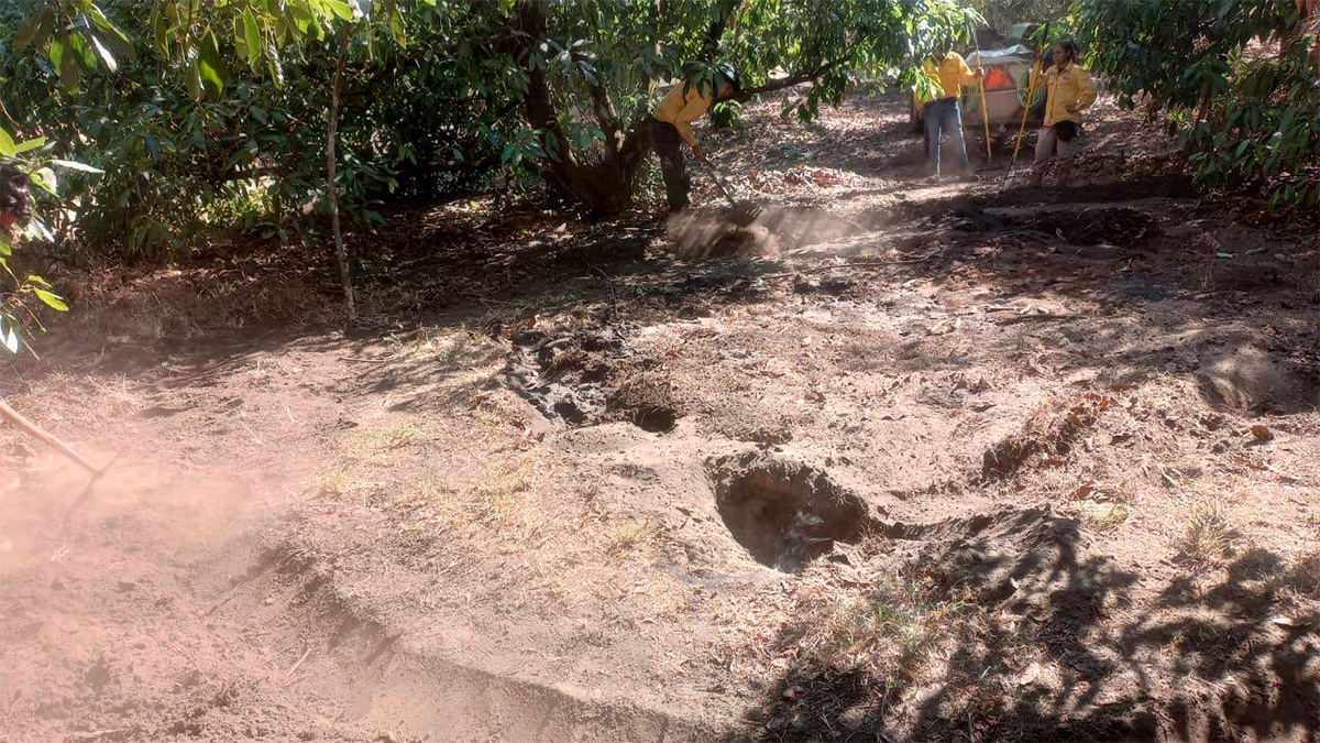 Alarma en Uruapan por emisión de vapor y agua hirviendo en parcela agrícola