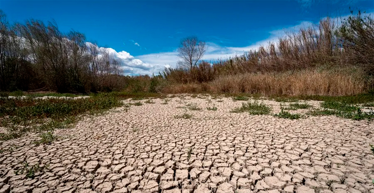 OMM advierte riesgo inminente de superar el límite climático