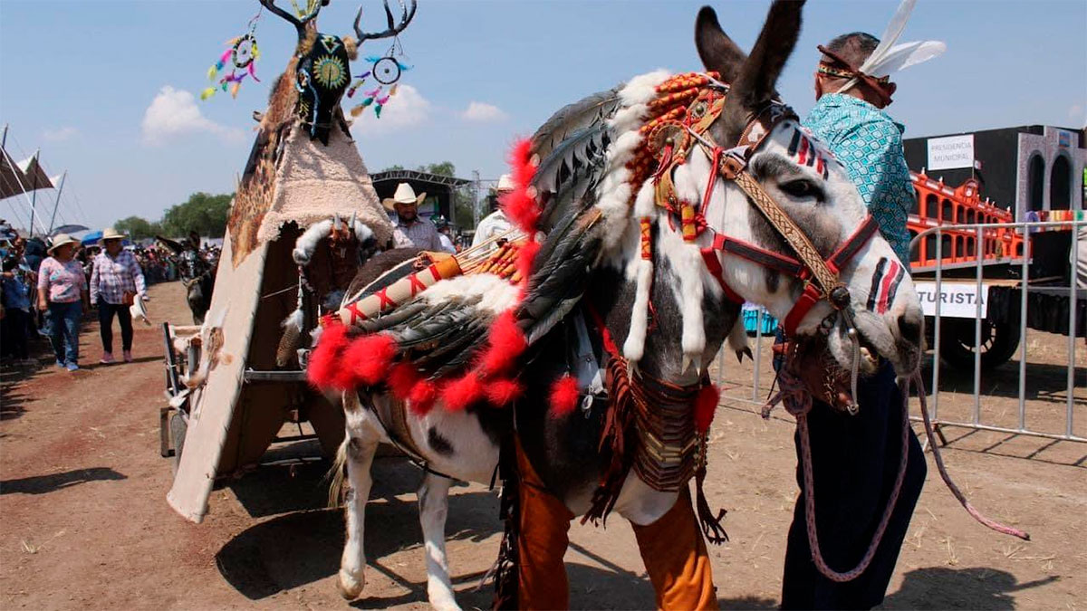 Otumba celebra 60 años de la Feria Nacional del Burro con creatividad y homenaje a una especie en peligro