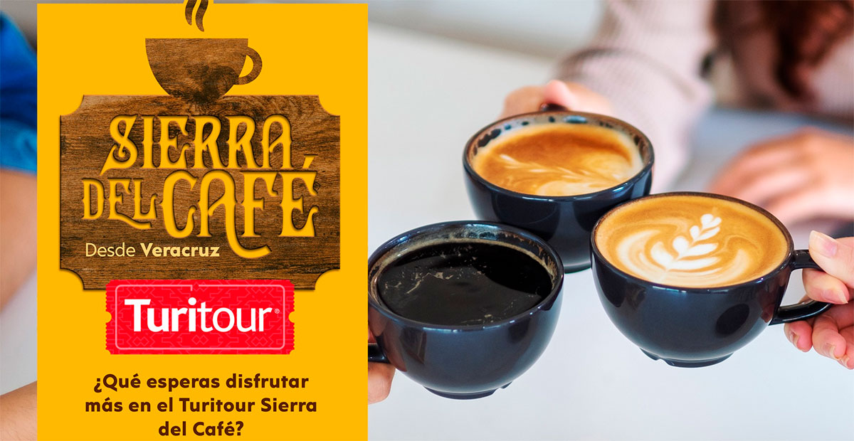 Vive un viaje sensorial por los cafetales de Veracruz con Turitour Sierra del Café