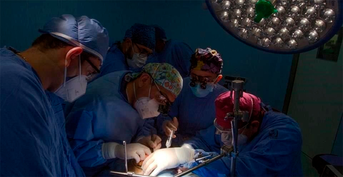 Realiza IMSS primer trasplante pediátrico de corazón