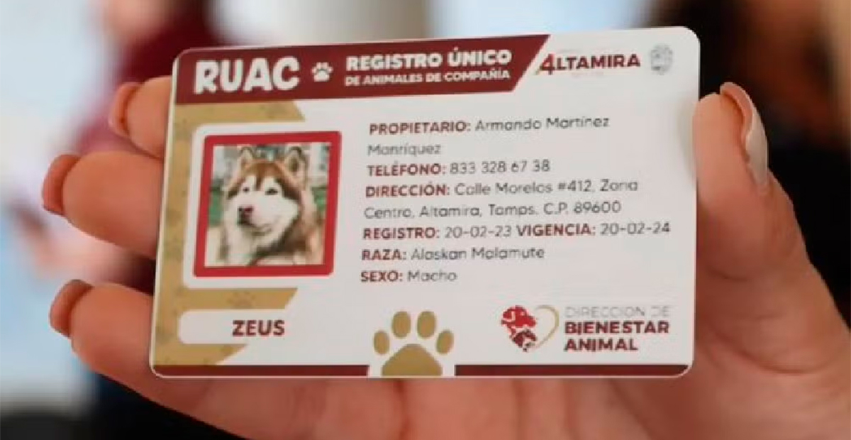 RUAC, la “CURP” para mascotas, será obligatoria en CDMX a partir de julio de 2025