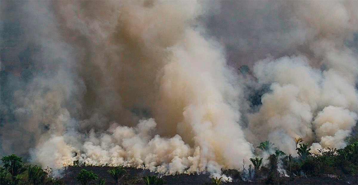 Incendio forestal devasta 826 hectáreas de la Selva Lacandona en Chiapas