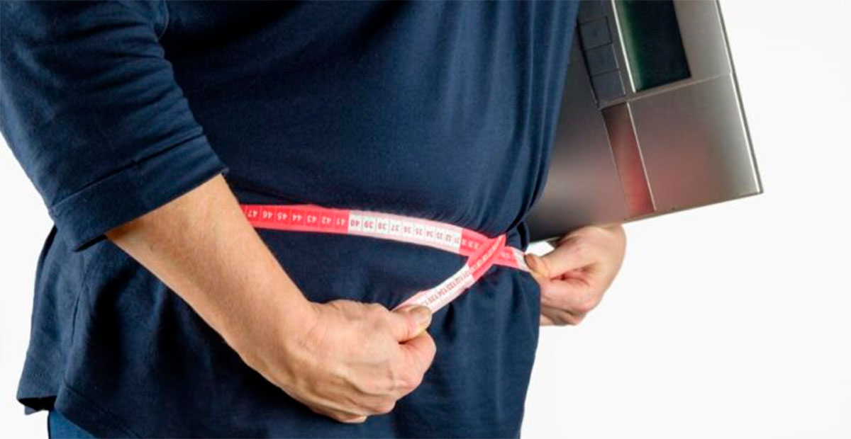Descubren proteína clave para combatir la obesidad y enfermedades cardiovasculares