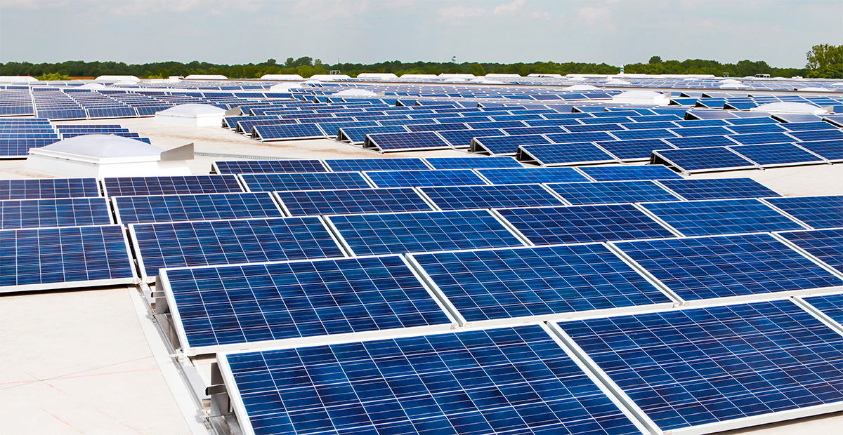 Crece resistencia contra megaproyecto solar en Hidalgo