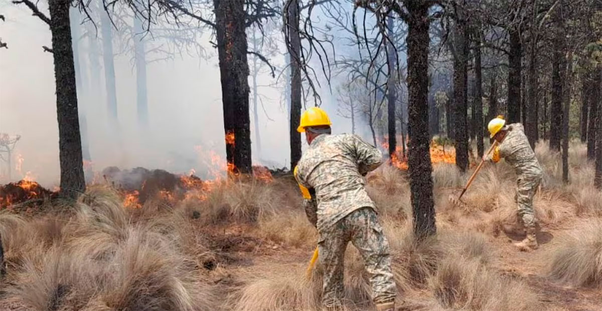 Incendio consume más de 800 hectáreas en la Selva Lacandona