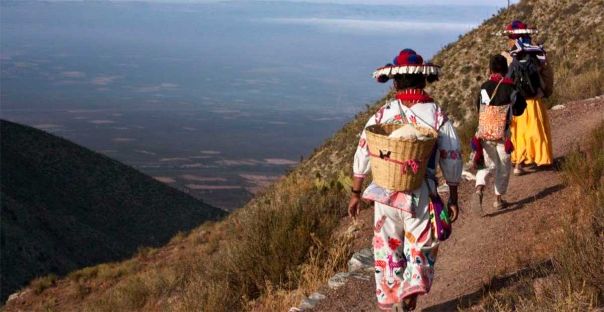 La ruta Wixárika a Wirikuta entra al Patrimonio Mundial de la Unesco