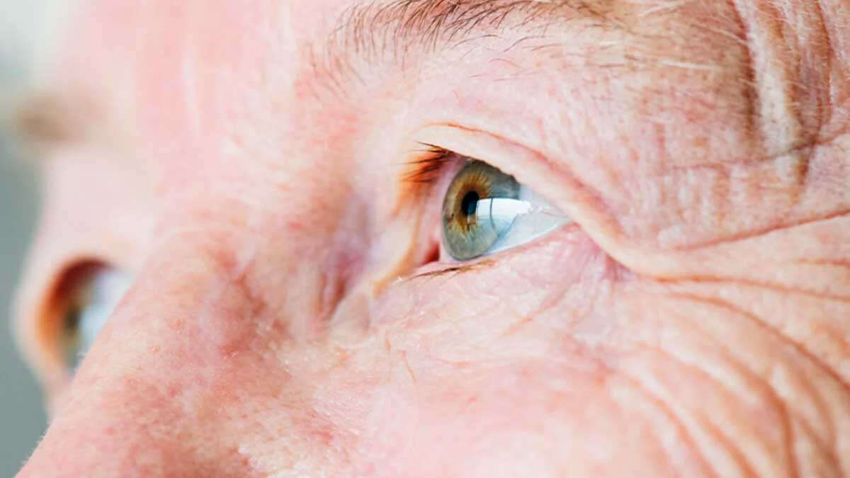 Estudio revela etapas críticas en el envejecimiento humano
