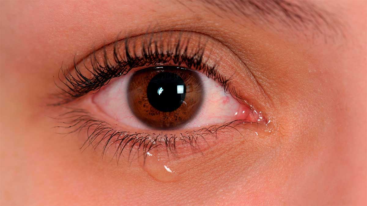 Las lágrimas no siempre convencen: contexto y personalidad influyen en su percepción