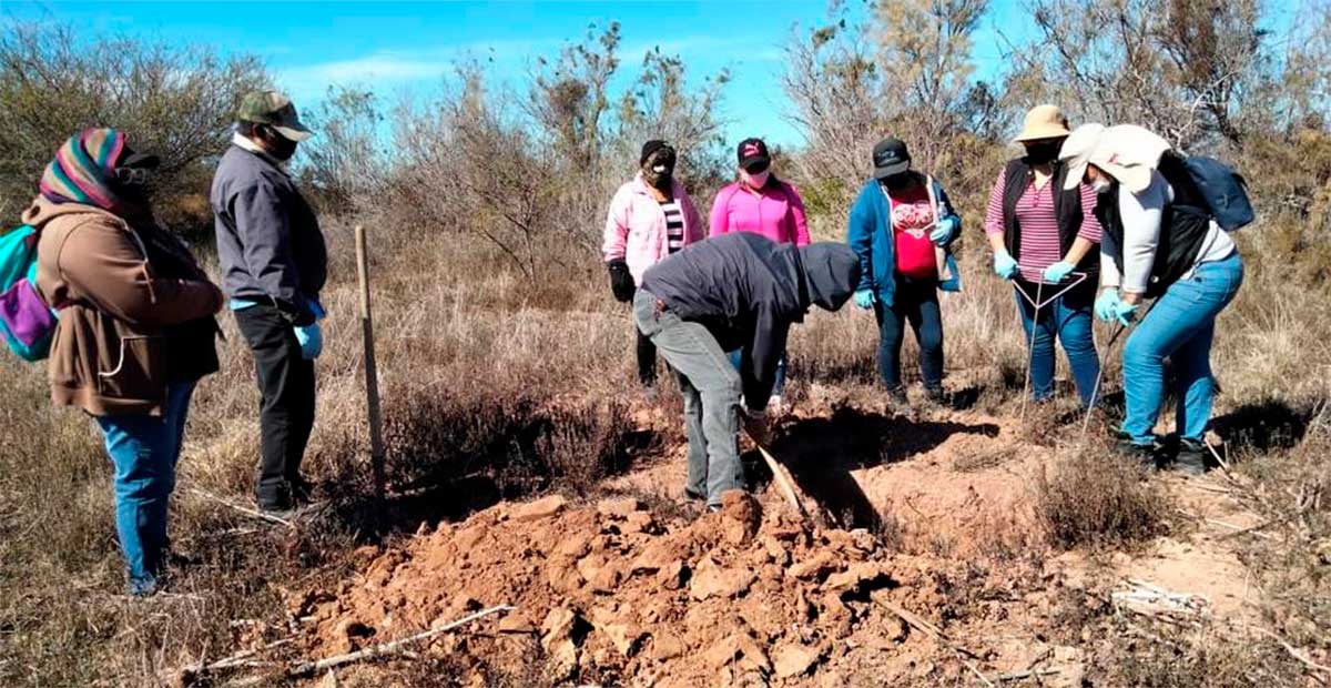 El rostro femenino de la búsqueda: 97% de las mujeres buscadoras sufre violencia en México