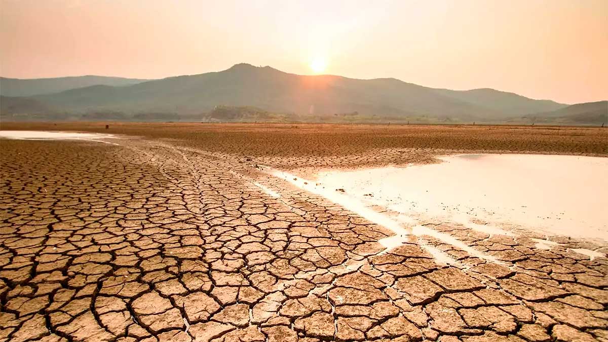 Pese a lluvias de julio, cuatro estados mantienen niveles críticos de sequía