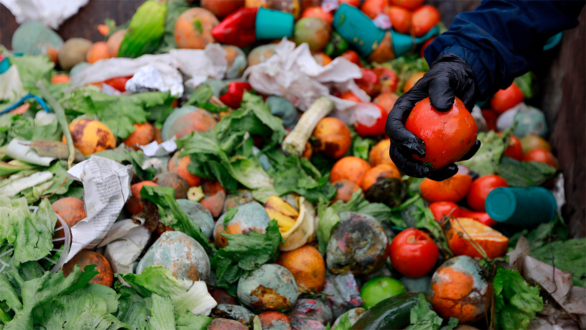 Científicos proponen estrategias para reducir el desperdicio de alimentos