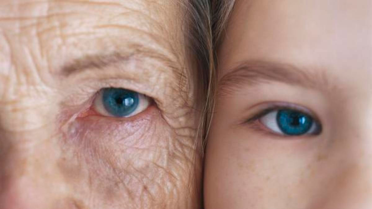 El envejecimiento es más rápido alrededor de los 50 años