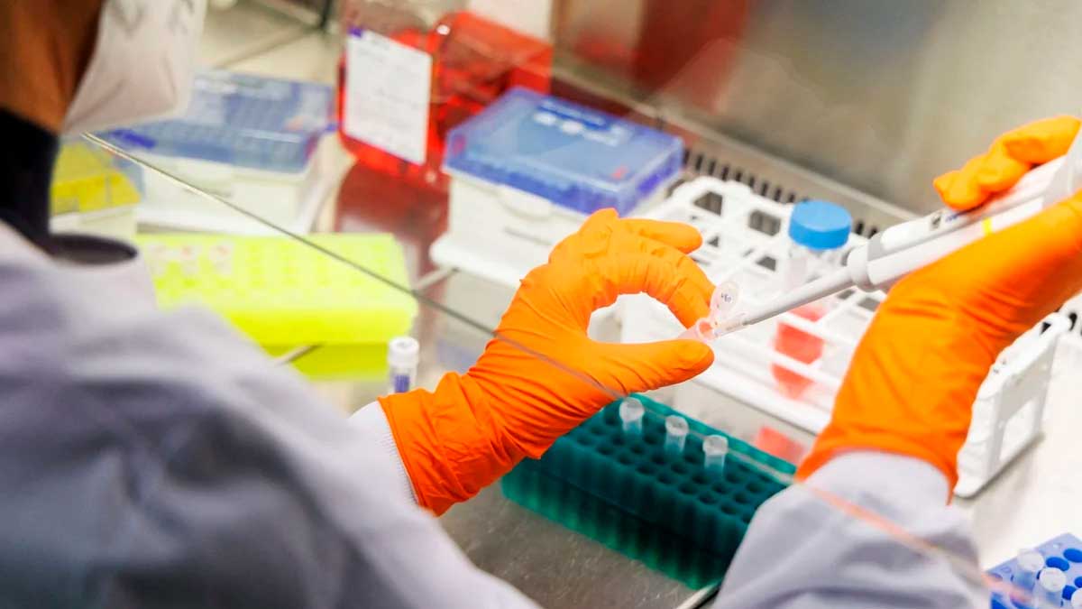 Detectan redes clandestinas dedicadas a falsificar investigaciones científicas