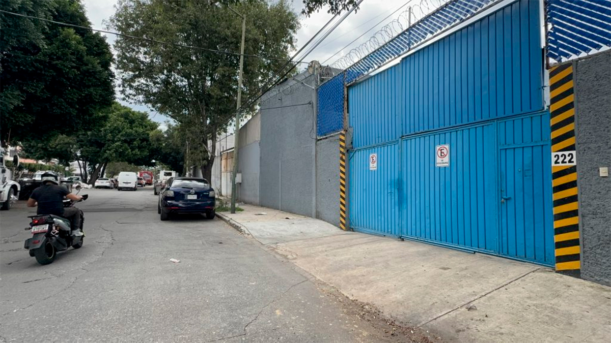 Empresas vinculadas a alimentación para el bienestar simulan competencia con contratos millonarios