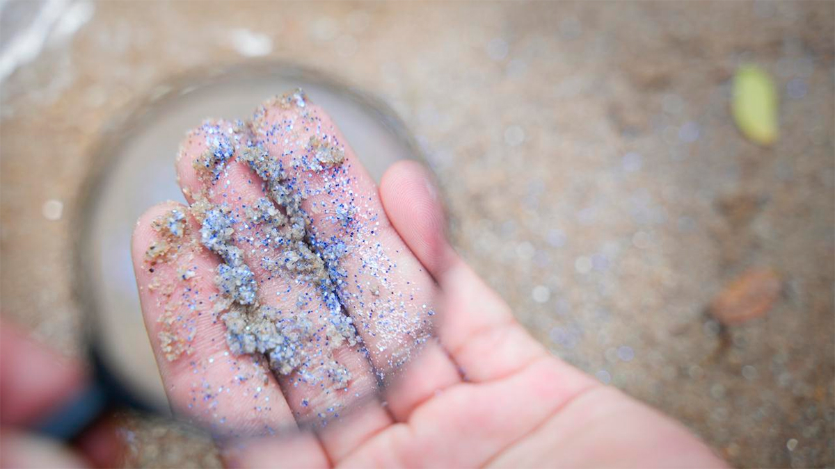 Estudio revela niveles de microplásticos en el cerebro, hígado y riñones