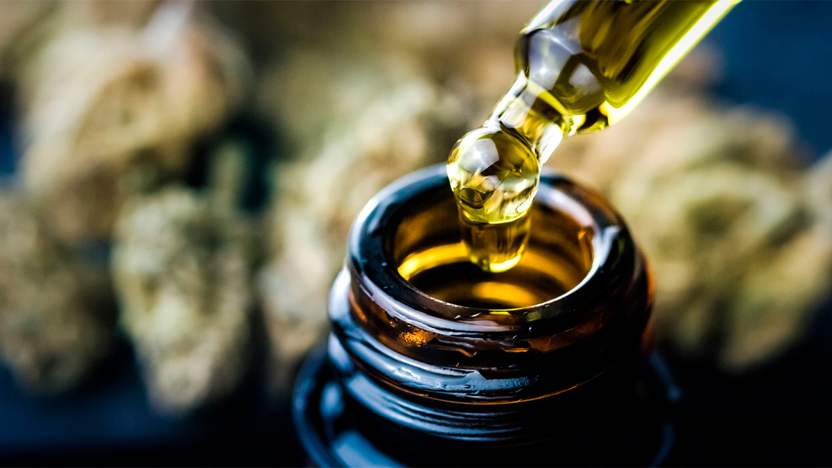 Cannabis medicinal muestra eficacia contra el dolor lumbar crónico, según ensayo clínico internacional