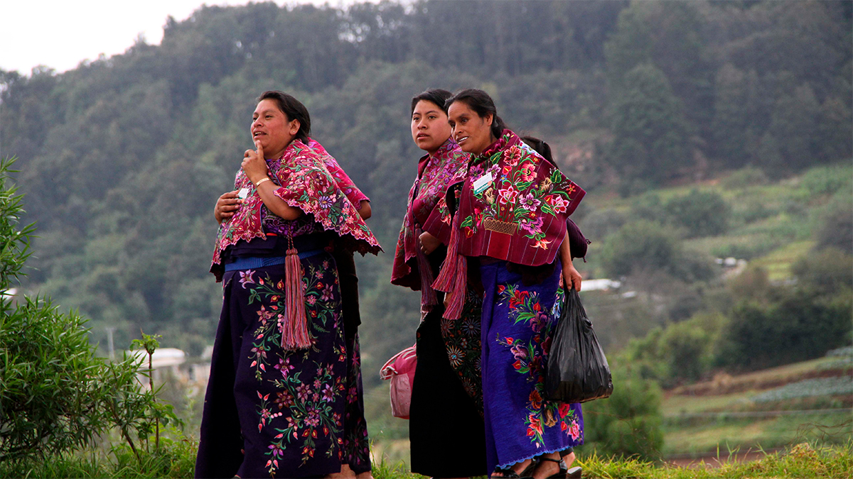 Mujeres indígenas en Chiapas resisten la gentrificación para preservar sus tradiciones