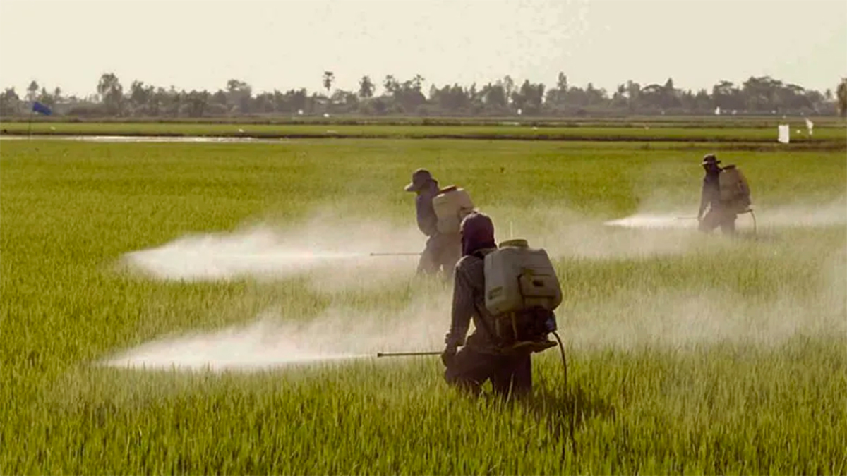 Prohíben en México 35 plaguicidas para proteger la salud y el medio ambiente