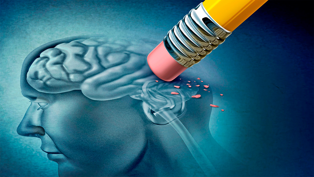 El Alzheimer borra primero los recuerdos más recientes: la memoria episódica, la primera víctima del olvido