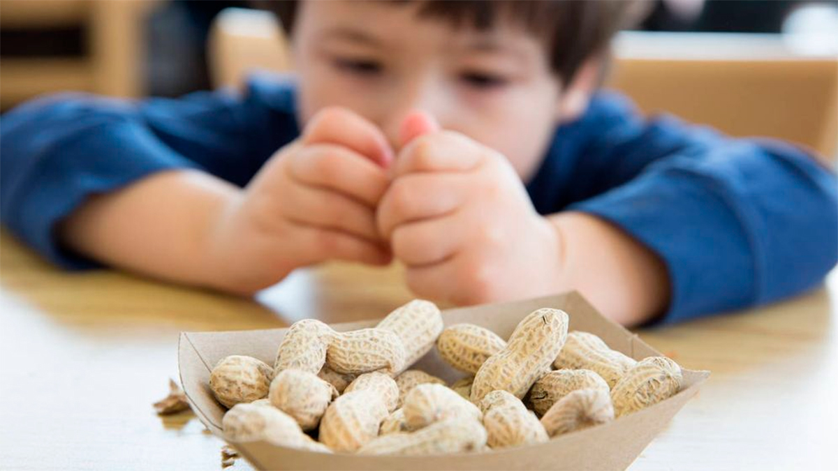 60 mil niños evitan alergias al cacahuate gracias a un cambio en la alimentación infantil