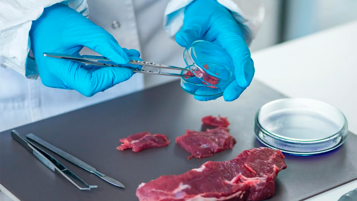 Carne contaminada podría causar hasta una de cada cinco infecciones urinarias, revela estudio