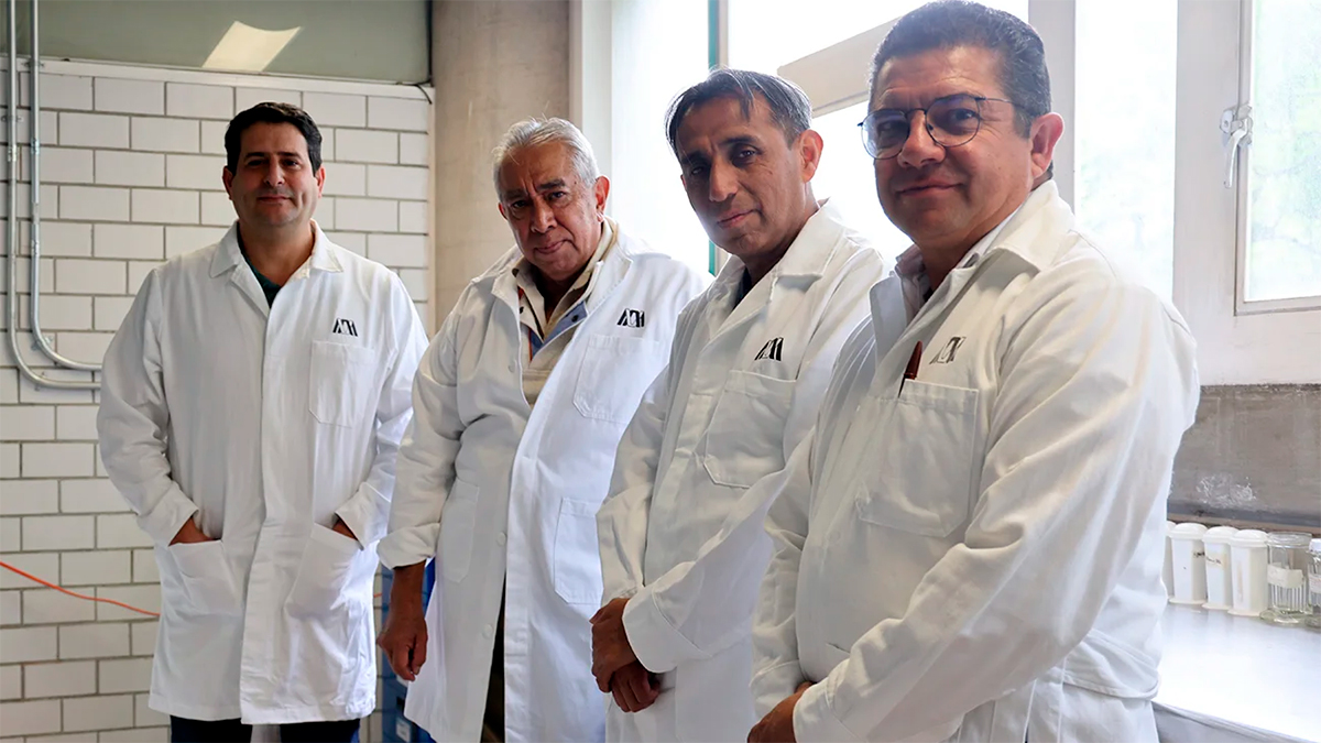 México logra su primer borrego clonado: la UAM Xochimilco marca un hito histórico en biotecnología reproductiva