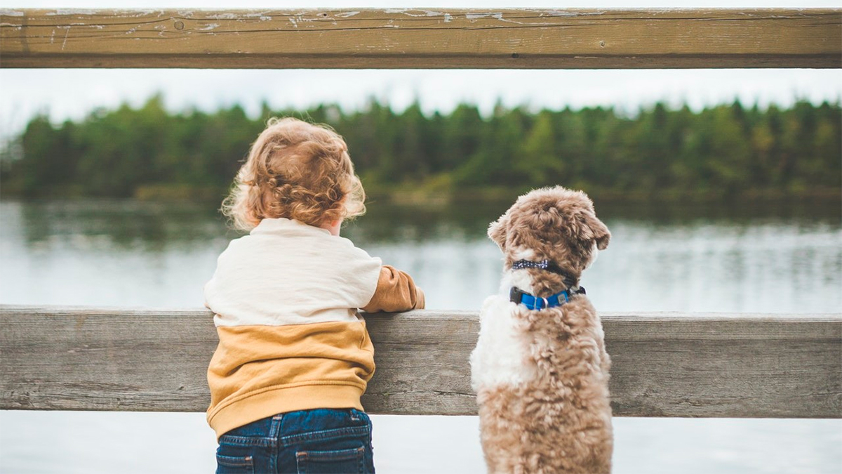 Crecer con perros podría proteger a los niños del asma, revela estudio internacional