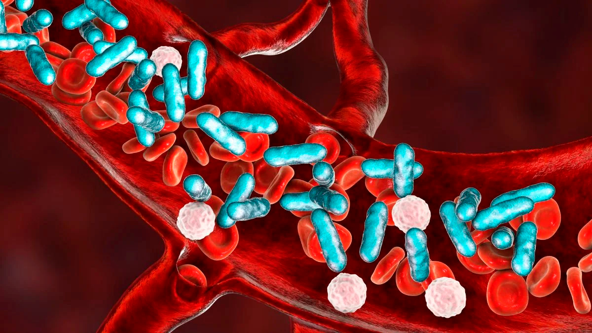 Alerta OMS: Resistencia a antibióticos amenaza la salud mundial