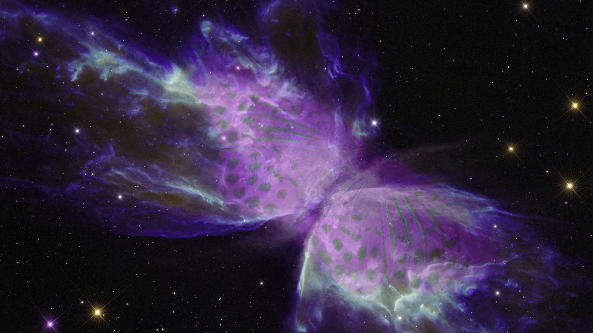 Estudiantes chilenos celebran 25 años del Observatorio Gemini con nueva imagen de la Nebulosa de la Mariposa