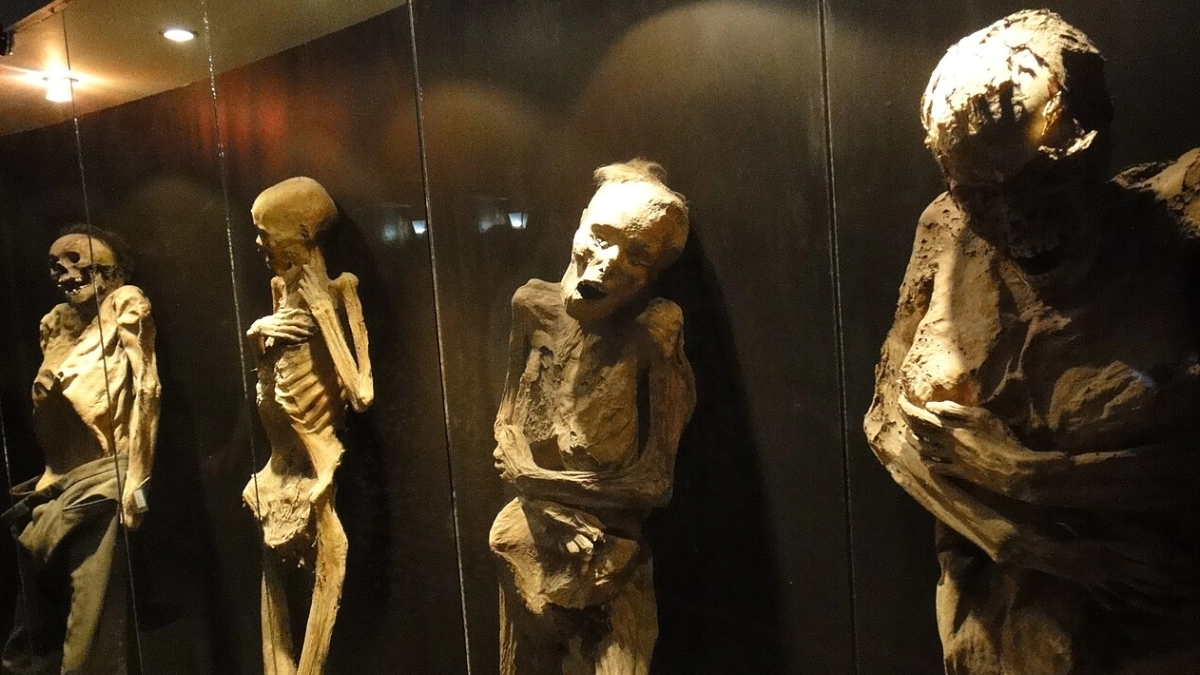 Momias de Guanajuato enfrentan riesgo de desaparición: INAH alerta deterioro crítico
