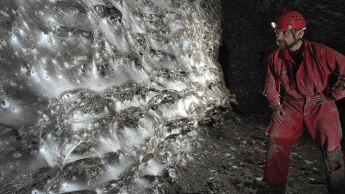 Descubren una telaraña gigante con más de 100 mil arañas en una cueva entre Albania y Grecia